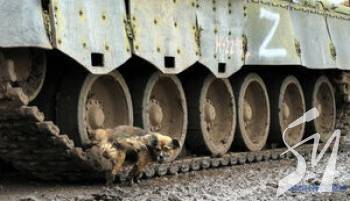 �� ����� �� ������� ��� �����������, ������� ���������� ����������� - ������